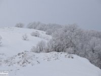 2018-01-13 M. Orsello 096